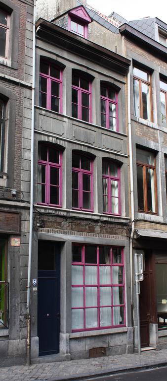 Le Chat Maudit De Maryse Villa Liège Exteriör bild